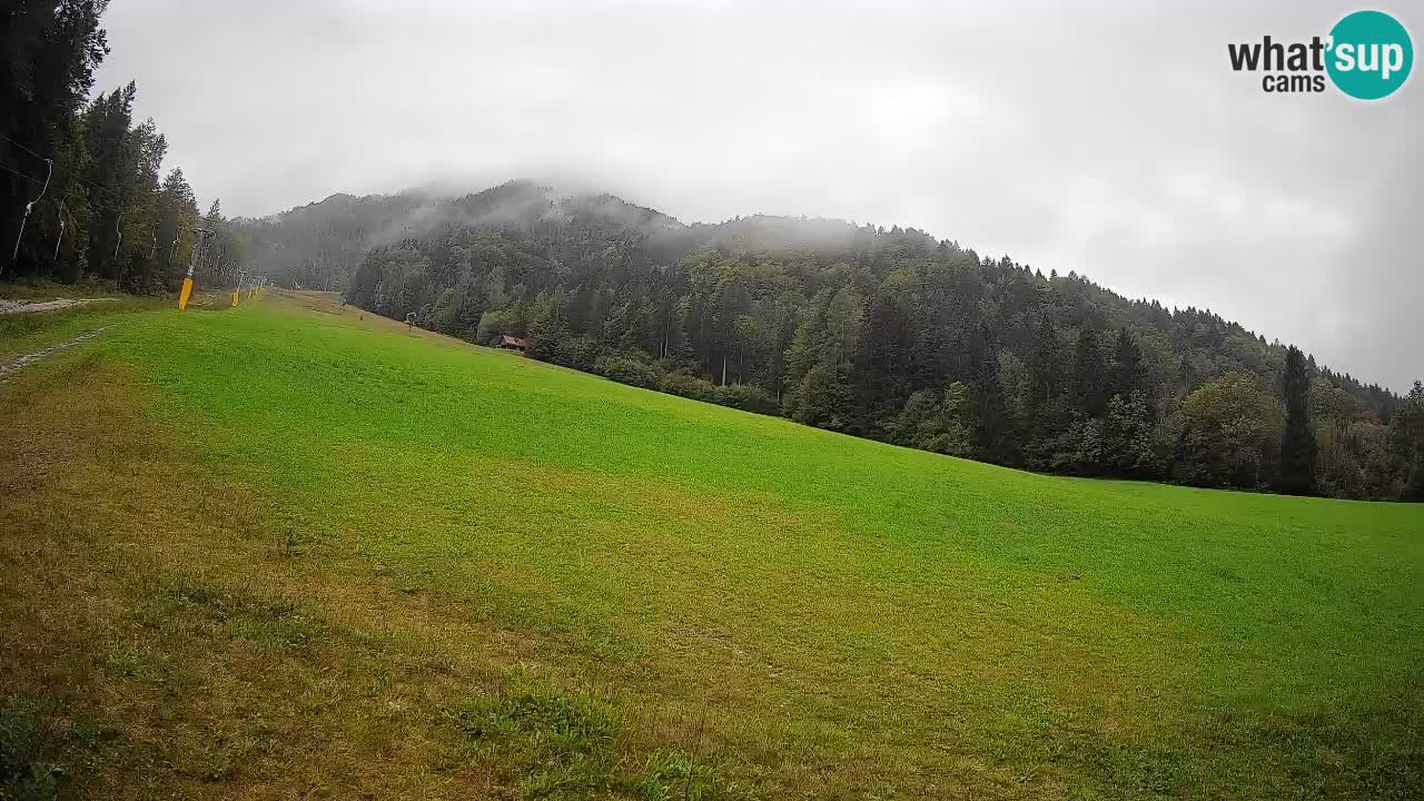 RTC Skigebiet Kranjska Gora | Brsnina