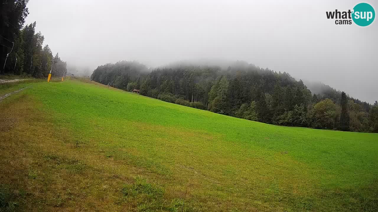 Comprensorio sciistico Kranjska Gora | Brsnina