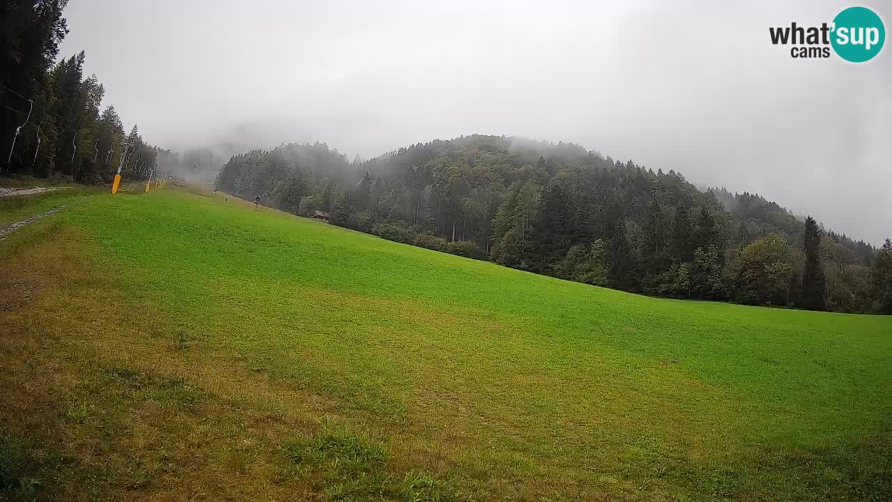 Kranjska Gora Station de ski | Brsnina