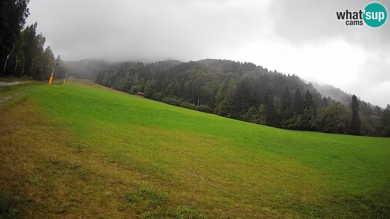 Kranjska Gora SKIJANJE | Brsnina
