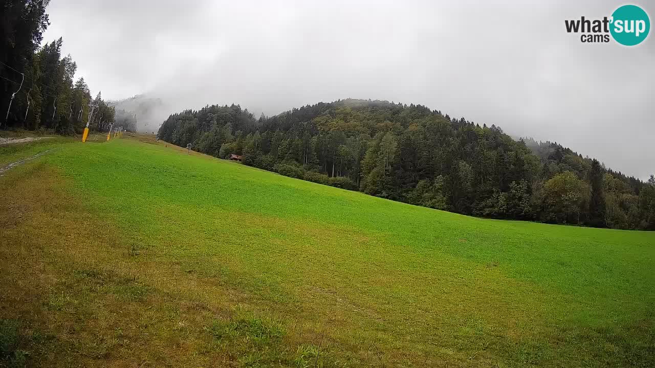 Ski Kranjska Gora | Brsnina