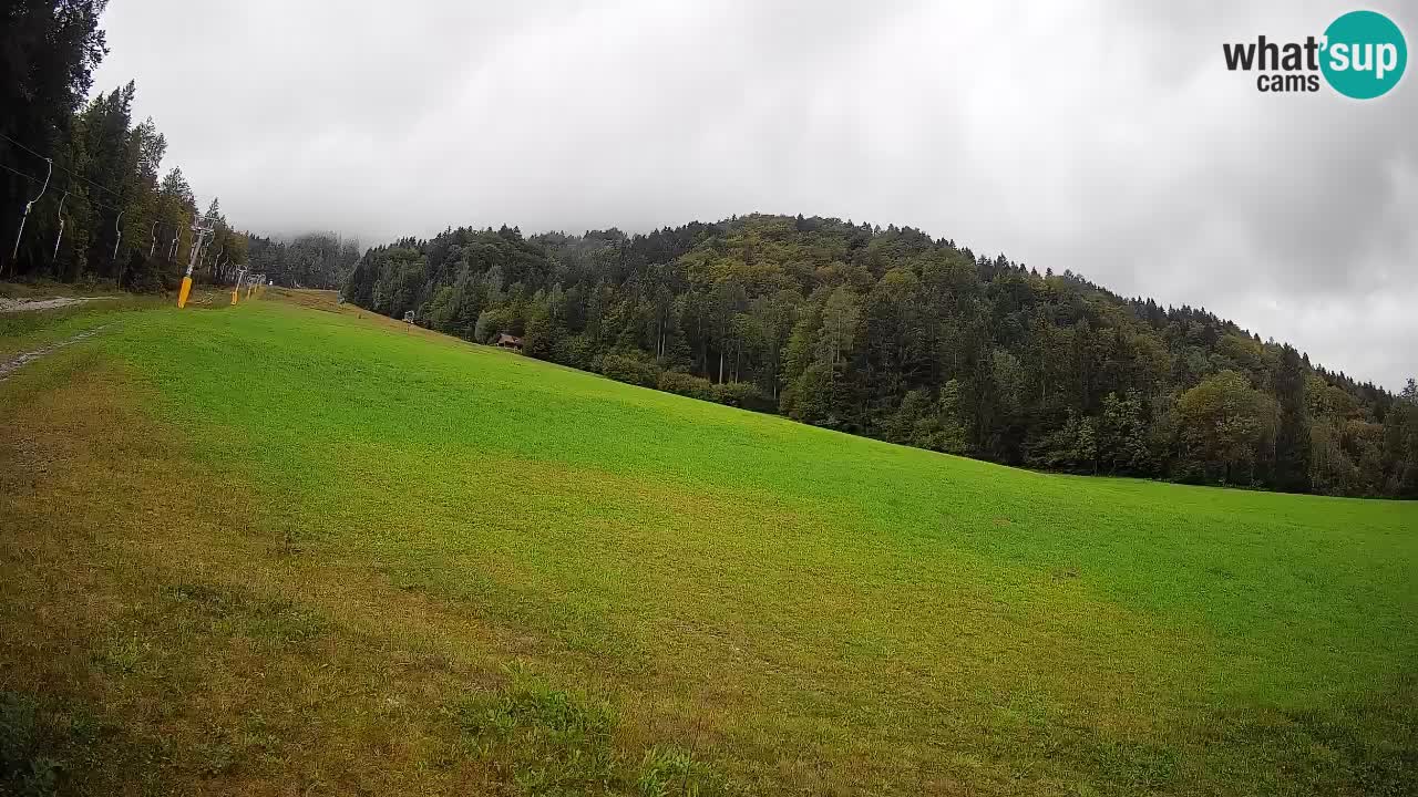 Esquí Kranjska Gora | Brsnina
