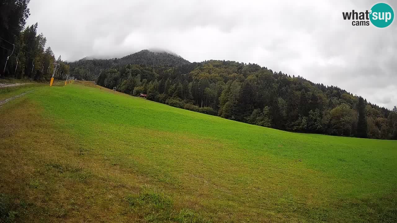 Kranjska Gora Station de ski | Brsnina