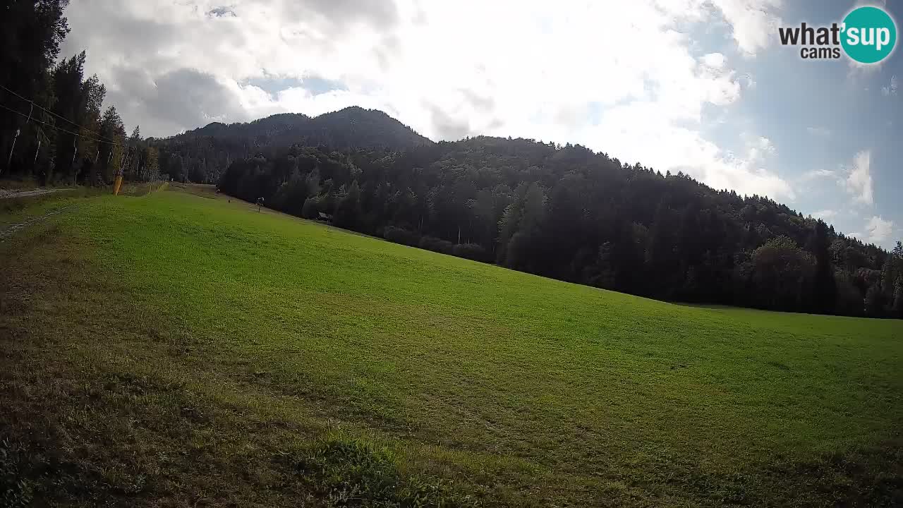 Ski Kranjska Gora | Brsnina