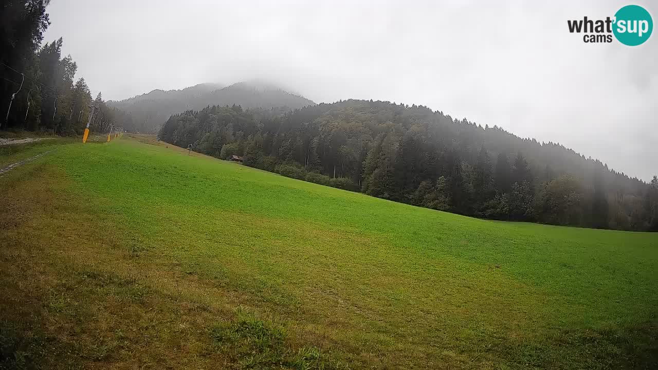RTC Skigebiet Kranjska Gora | Brsnina