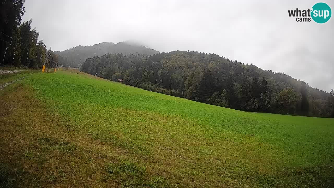 RTC Skigebiet Kranjska Gora | Brsnina