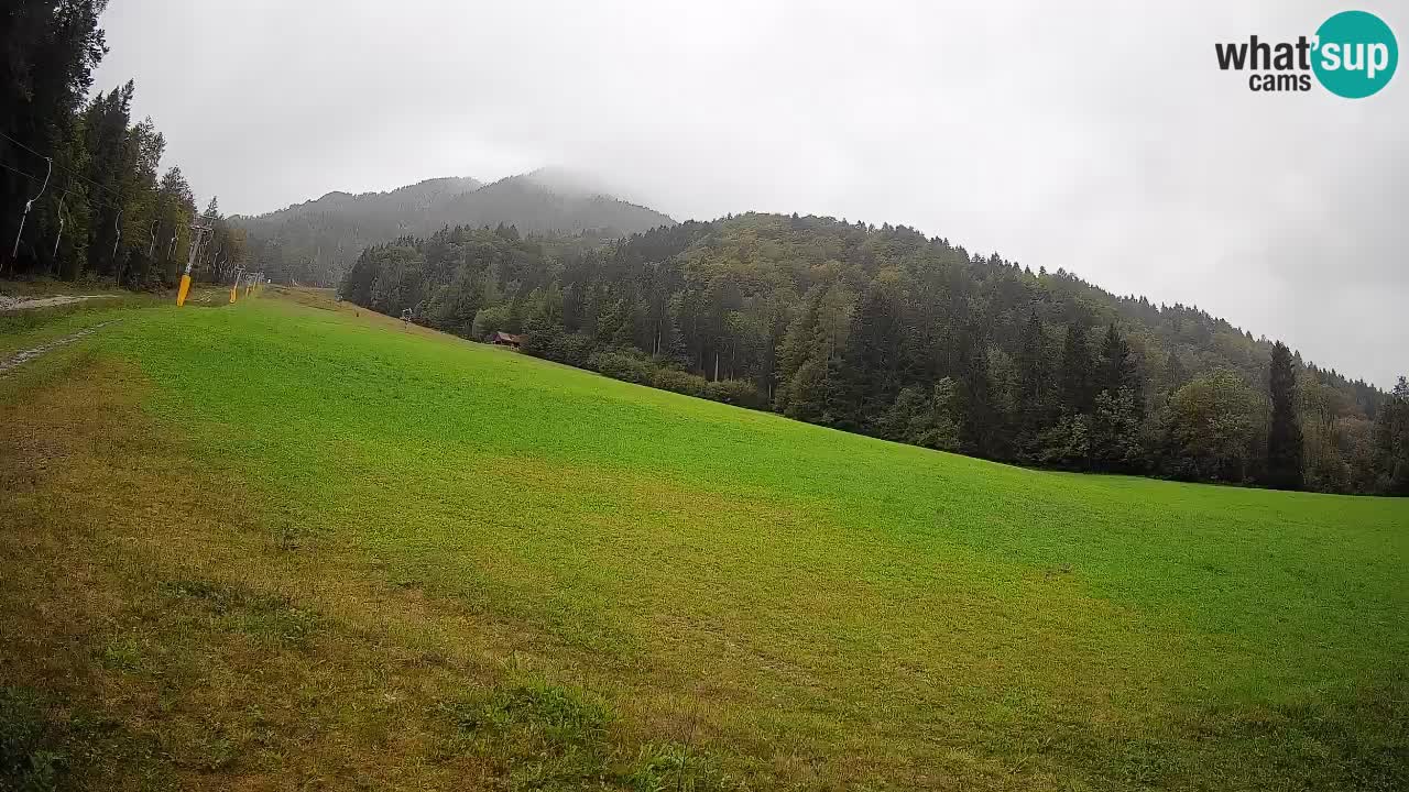 Ski Kranjska Gora | Brsnina
