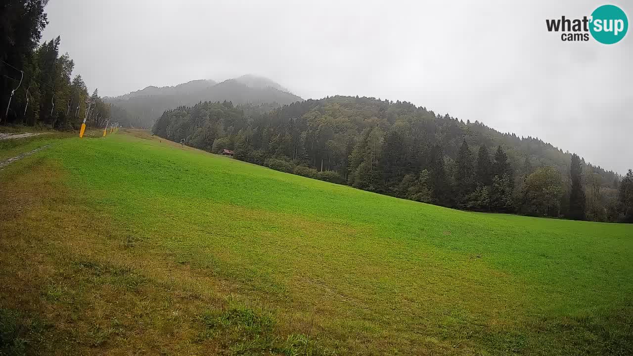 RTC Skigebiet Kranjska Gora | Brsnina