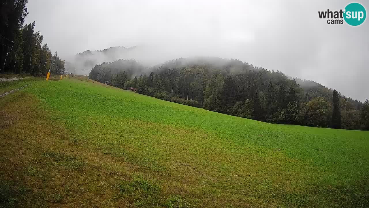 RTC Kranjska Gora | Brsnina