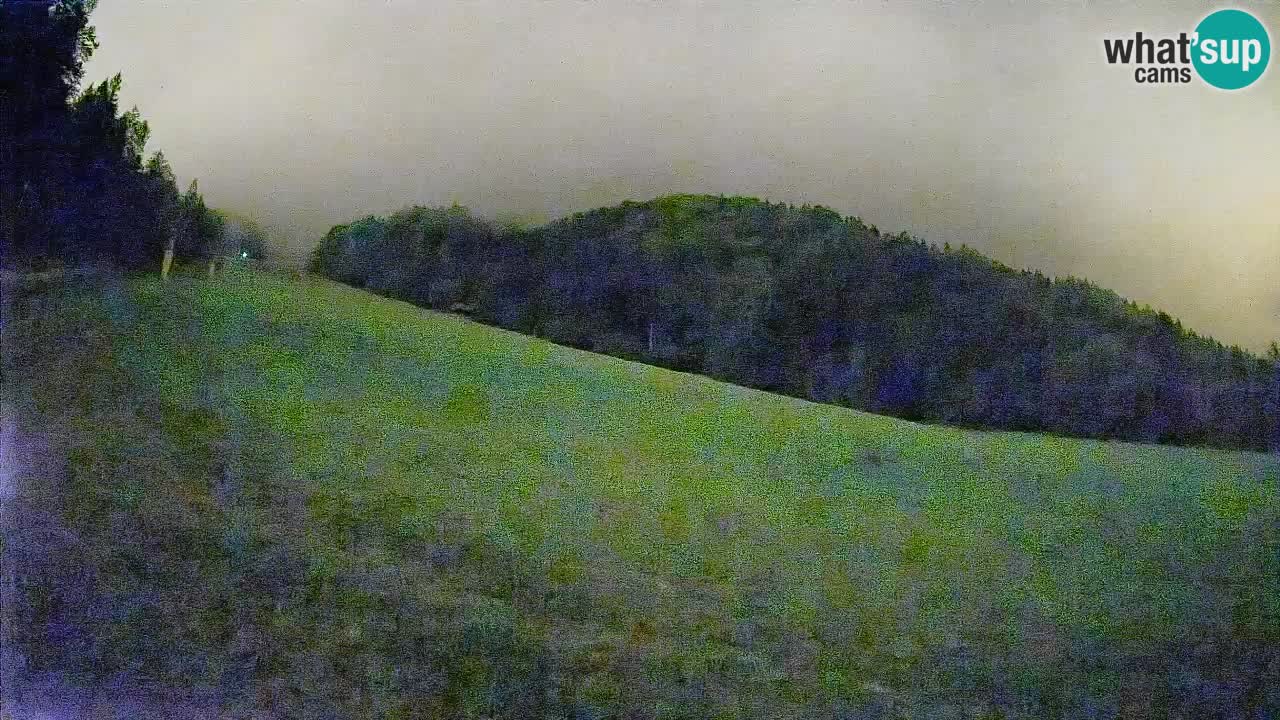Esquí Kranjska Gora | Brsnina