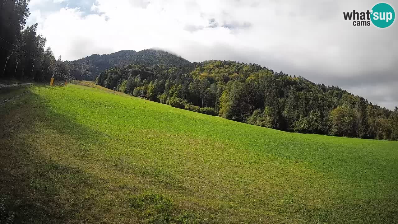 Kranjska Gora Station de ski | Brsnina