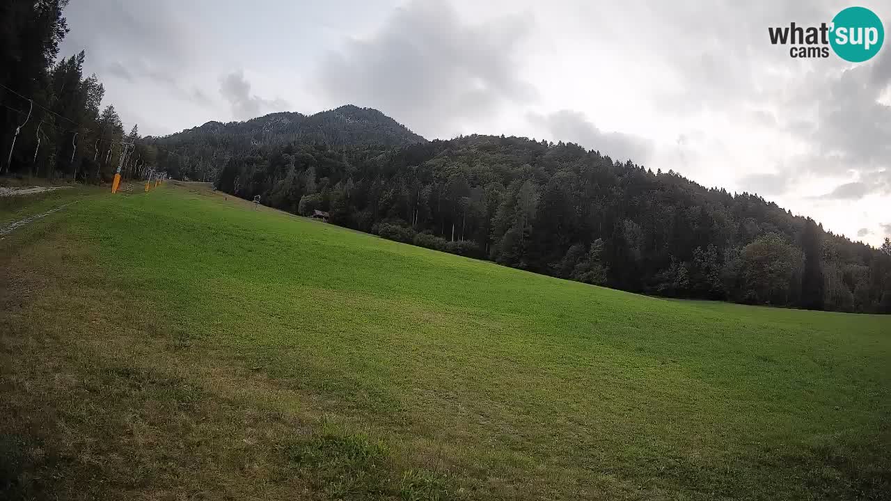 Ski Kranjska Gora | Brsnina