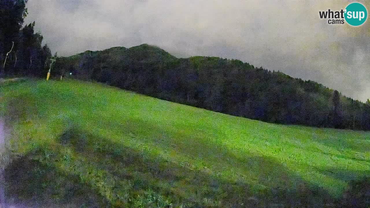 Ski Kranjska Gora | Brsnina