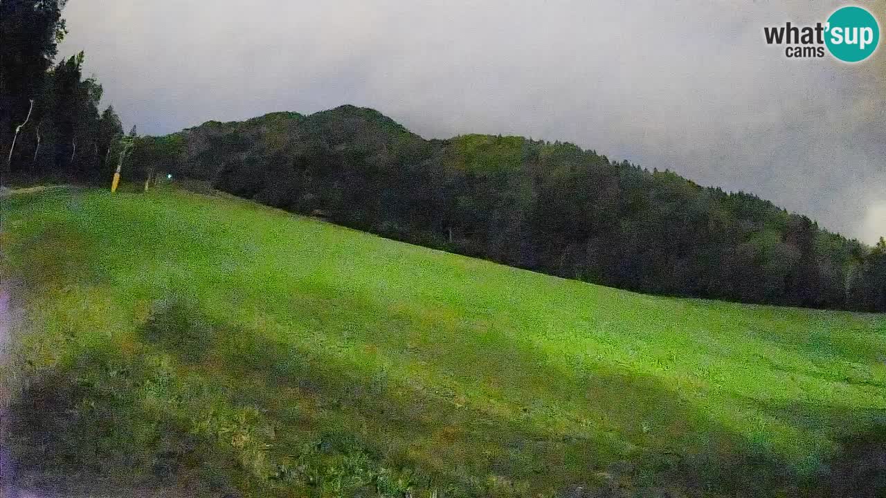 Ski Kranjska Gora | Brsnina