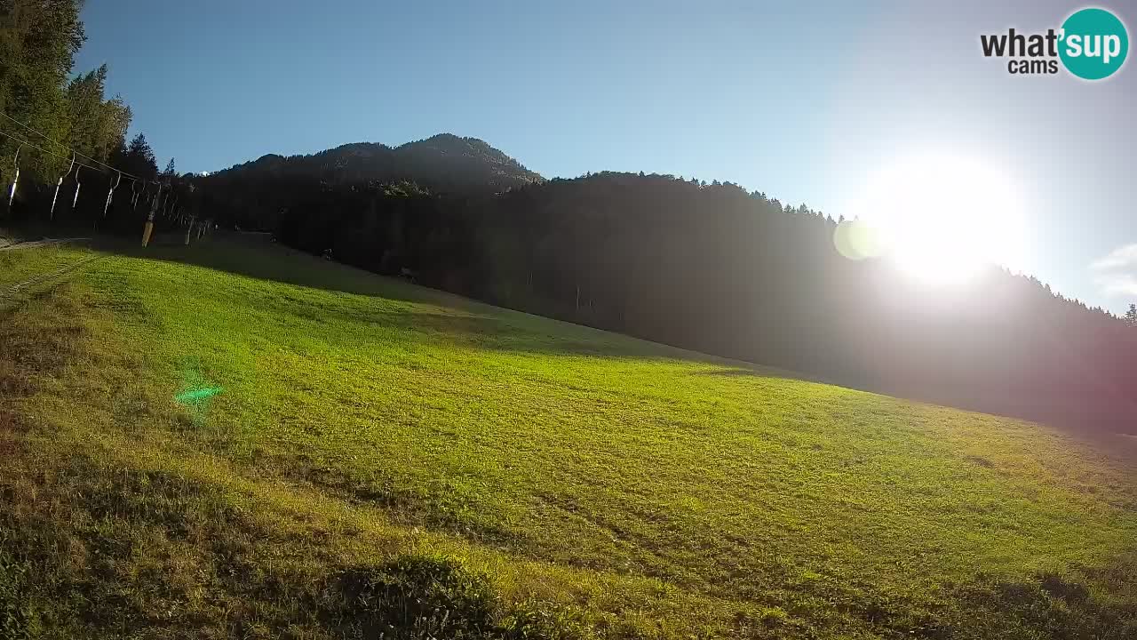 Ski Kranjska Gora | Brsnina