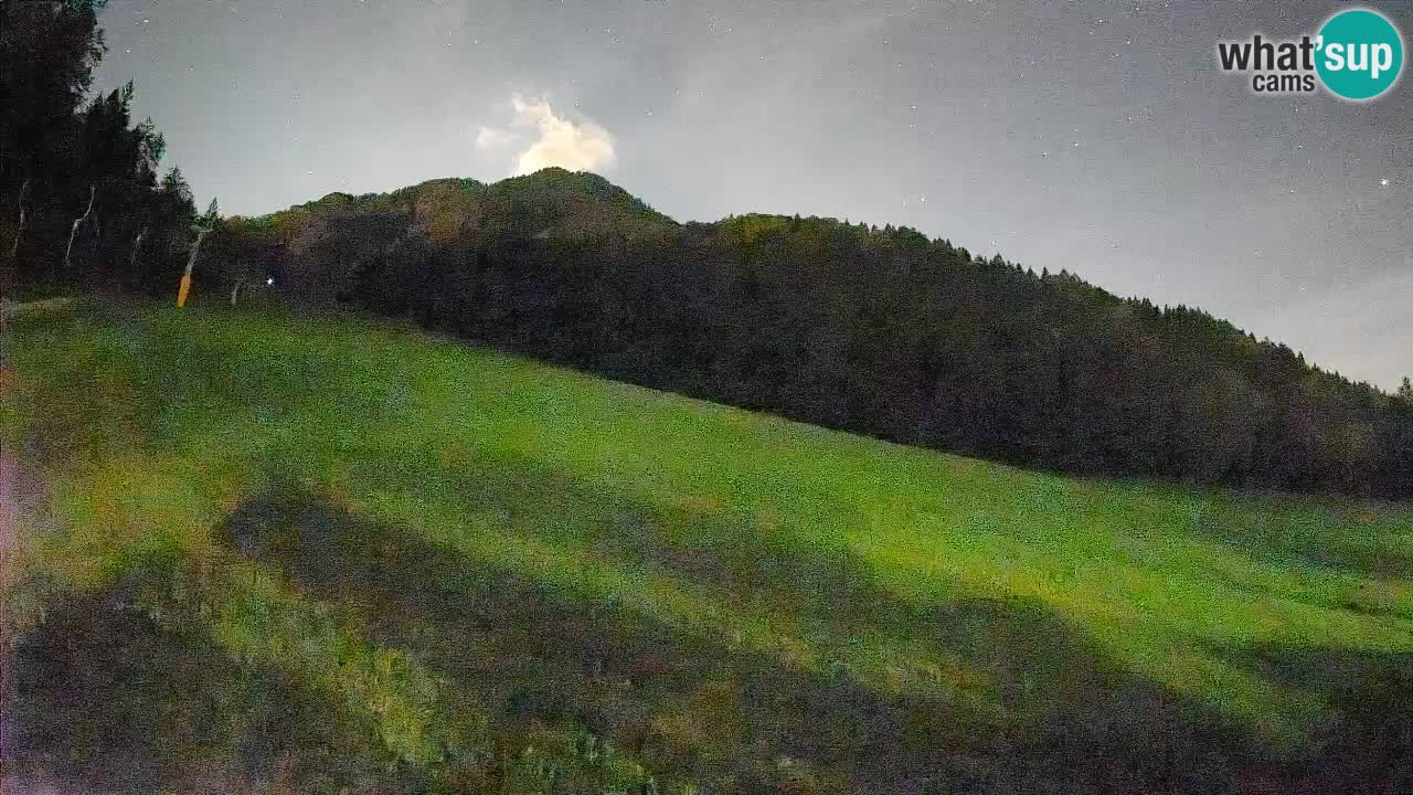 Esquí Kranjska Gora | Brsnina