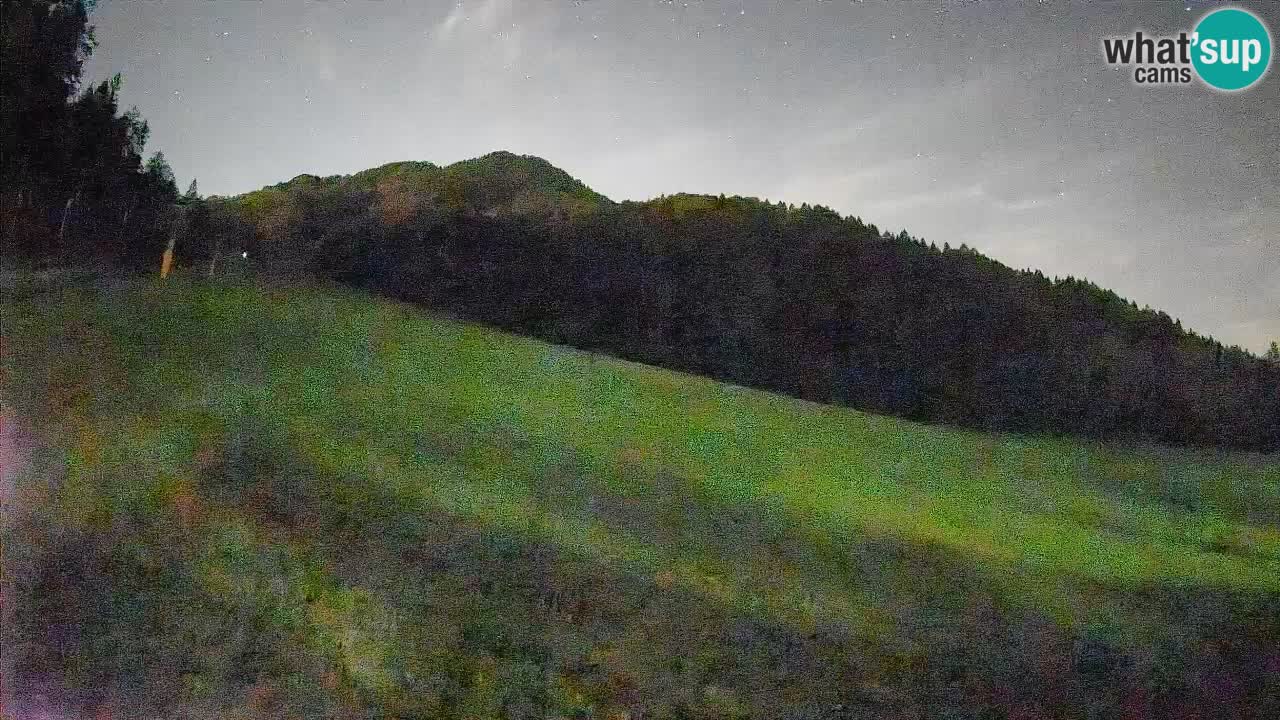 Esquí Kranjska Gora | Brsnina
