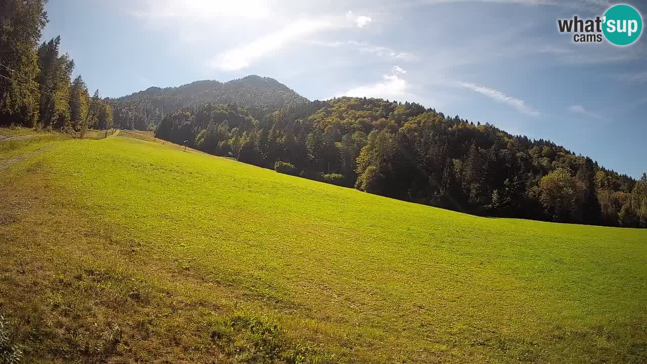 Ski Kranjska Gora | Brsnina