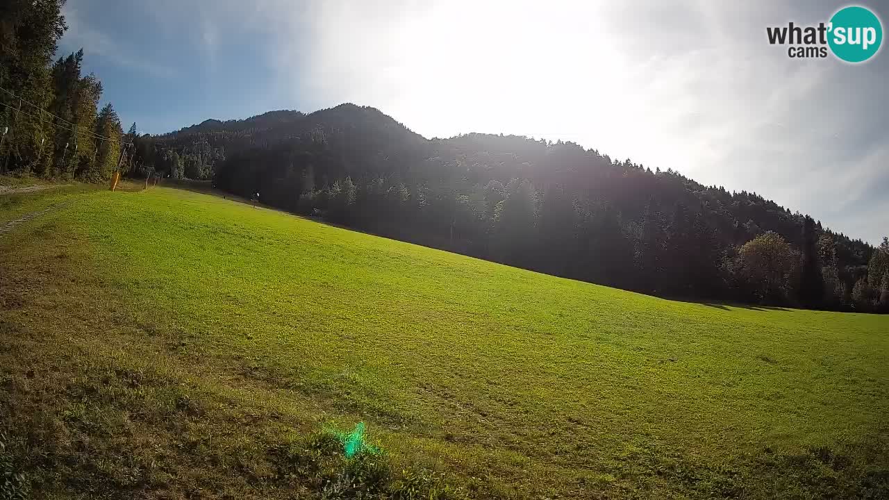 Comprensorio sciistico Kranjska Gora | Brsnina