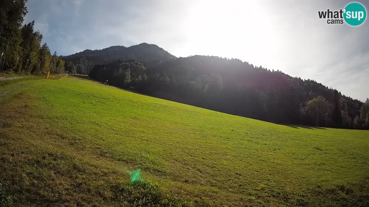 Comprensorio sciistico Kranjska Gora | Brsnina