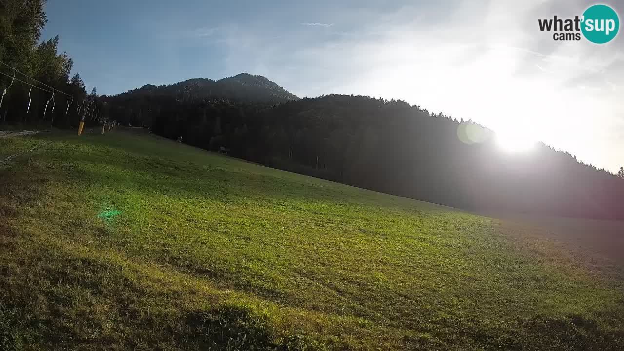 Ski Kranjska Gora | Brsnina