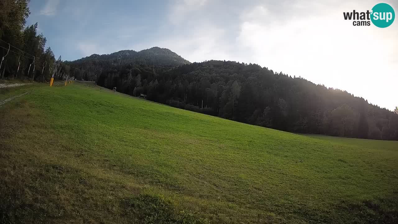 Ski Kranjska Gora | Brsnina