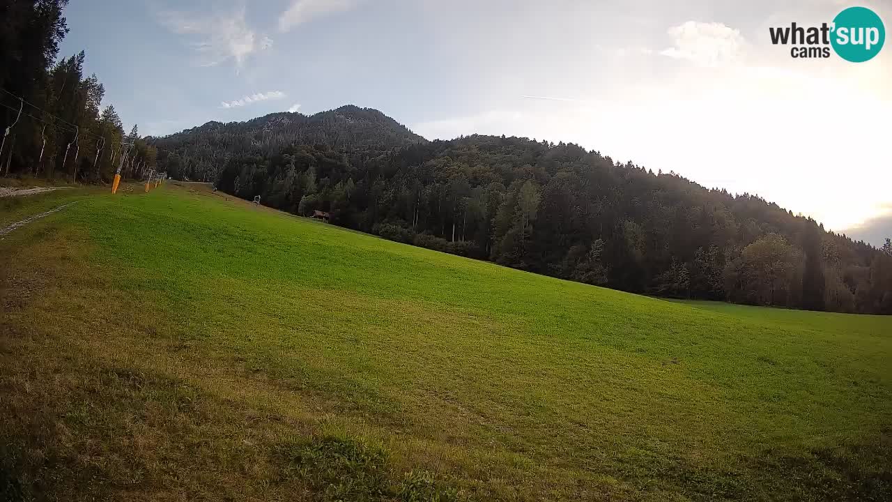 RTC Skigebiet Kranjska Gora | Brsnina