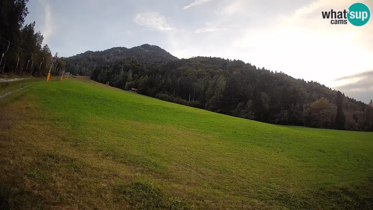 Comprensorio sciistico Kranjska Gora | Brsnina