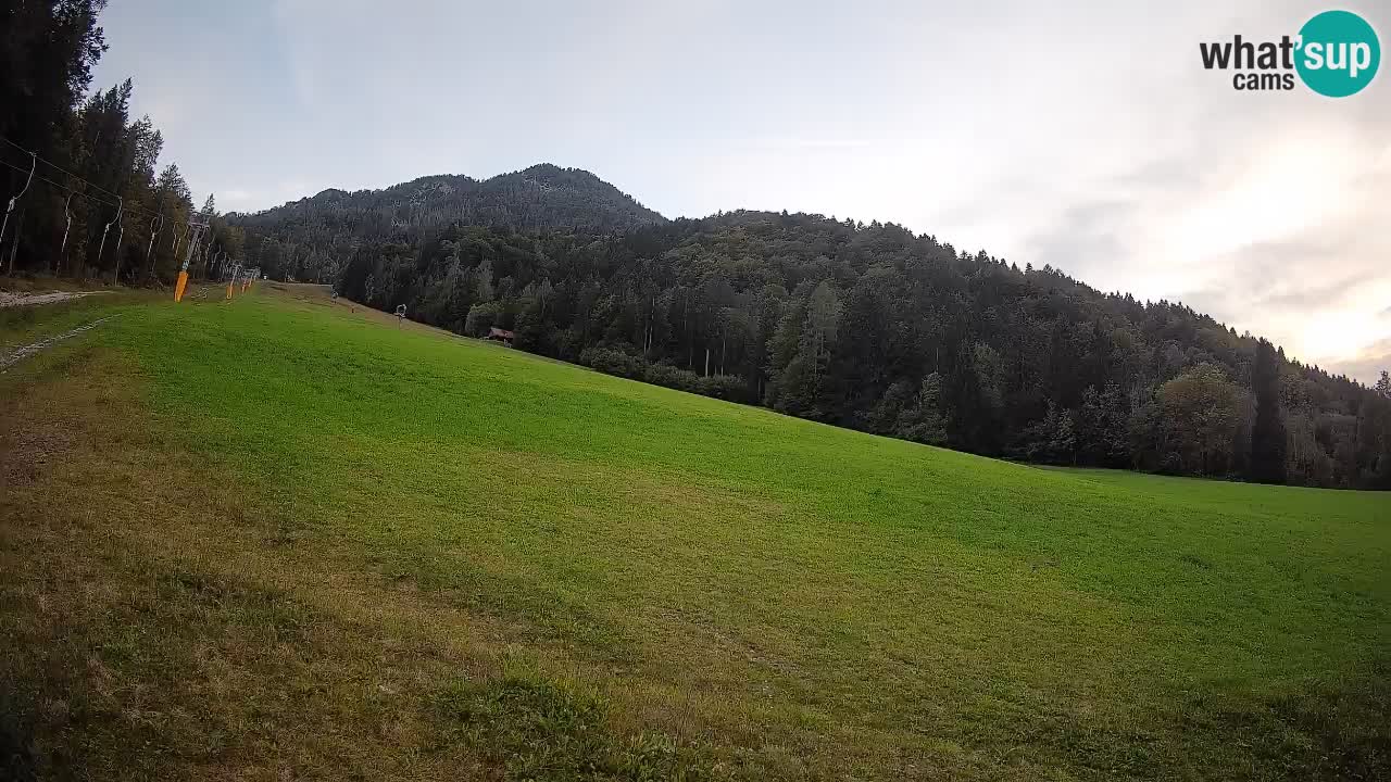 Comprensorio sciistico Kranjska Gora | Brsnina