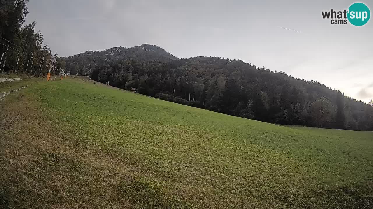 Kranjska Gora Station de ski | Brsnina