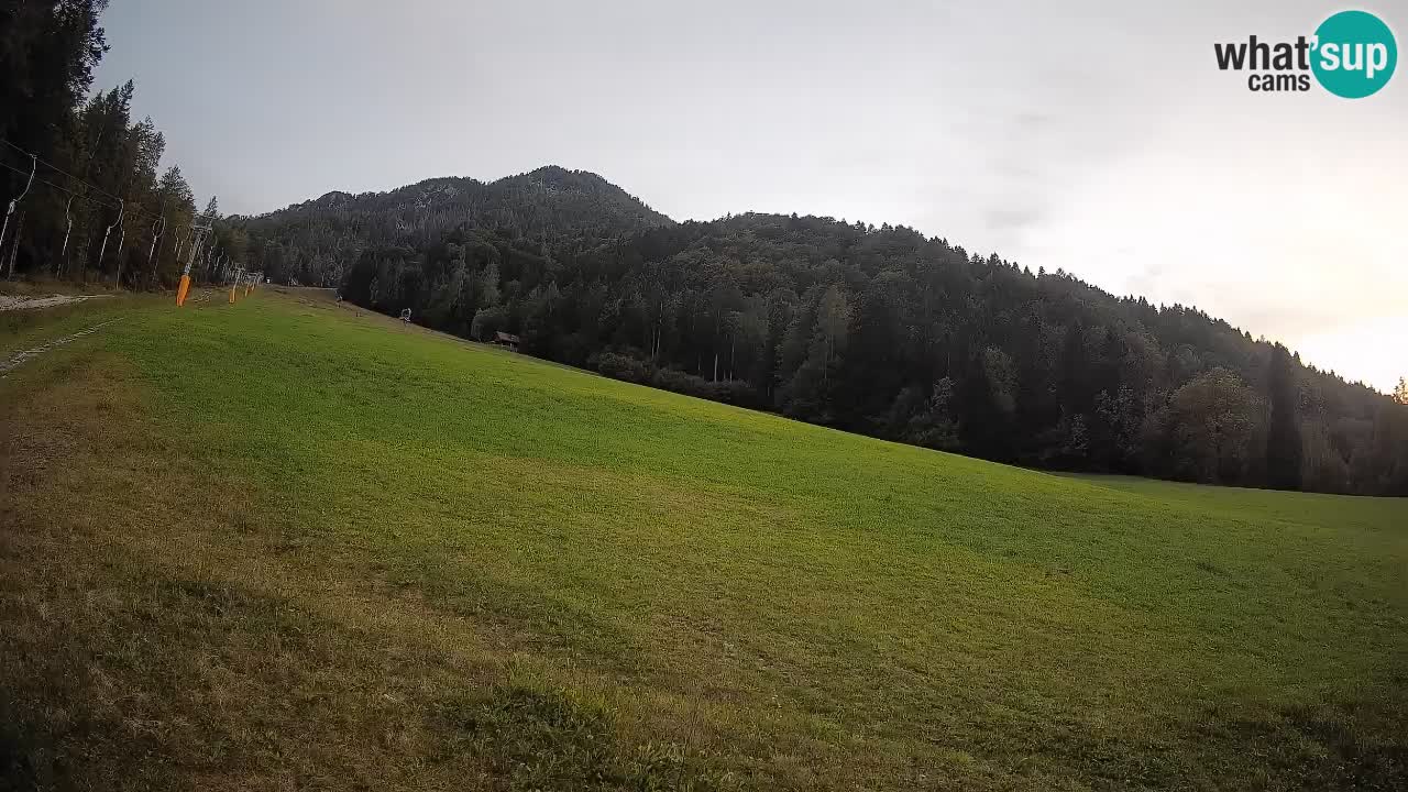 Kranjska Gora Station de ski | Brsnina