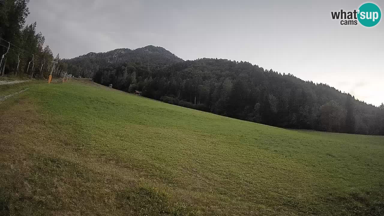 Comprensorio sciistico Kranjska Gora | Brsnina
