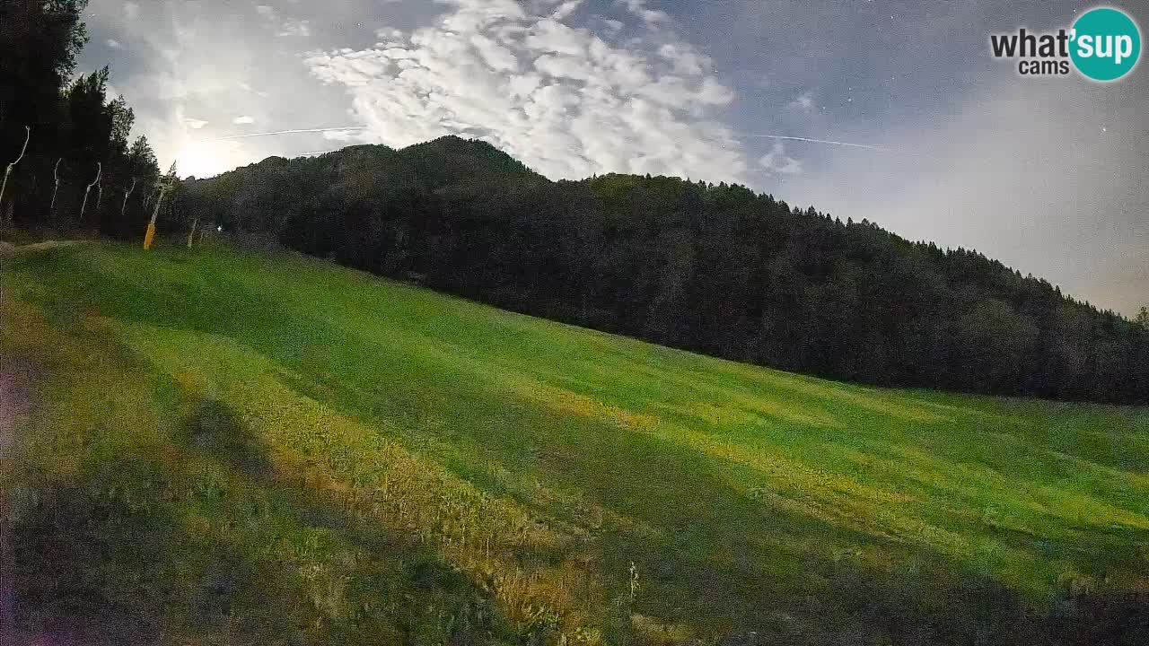 RTC Skigebiet Kranjska Gora | Brsnina