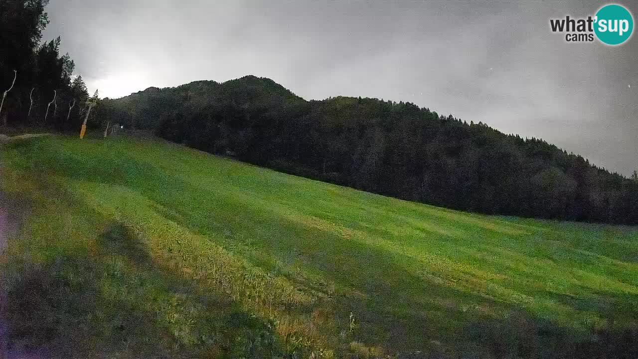 RTC Skigebiet Kranjska Gora | Brsnina