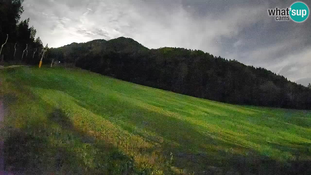 RTC Skigebiet Kranjska Gora | Brsnina