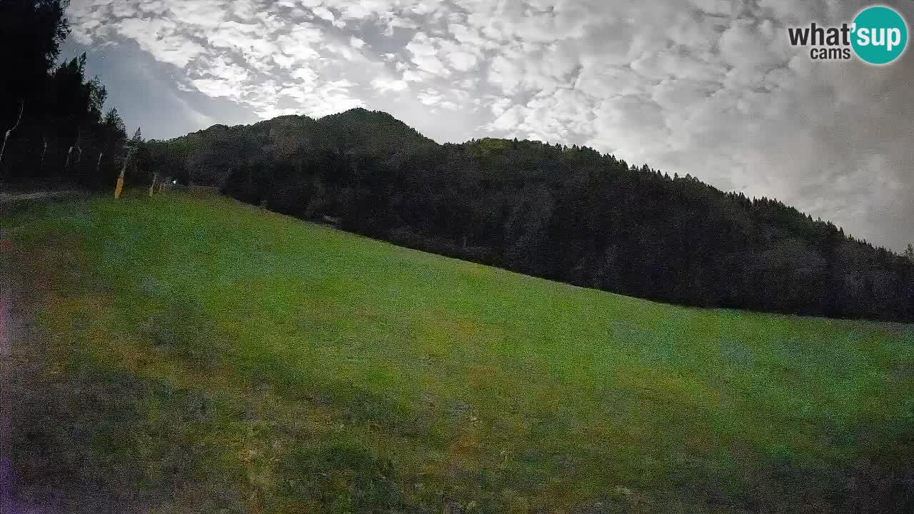 Ski Kranjska Gora | Brsnina