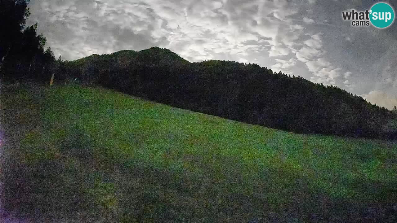 Kranjska Gora Station de ski | Brsnina