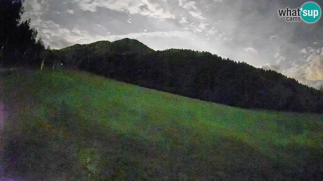 Kranjska Gora Station de ski | Brsnina