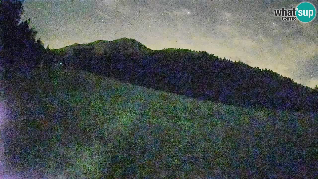 RTC Skigebiet Kranjska Gora | Brsnina