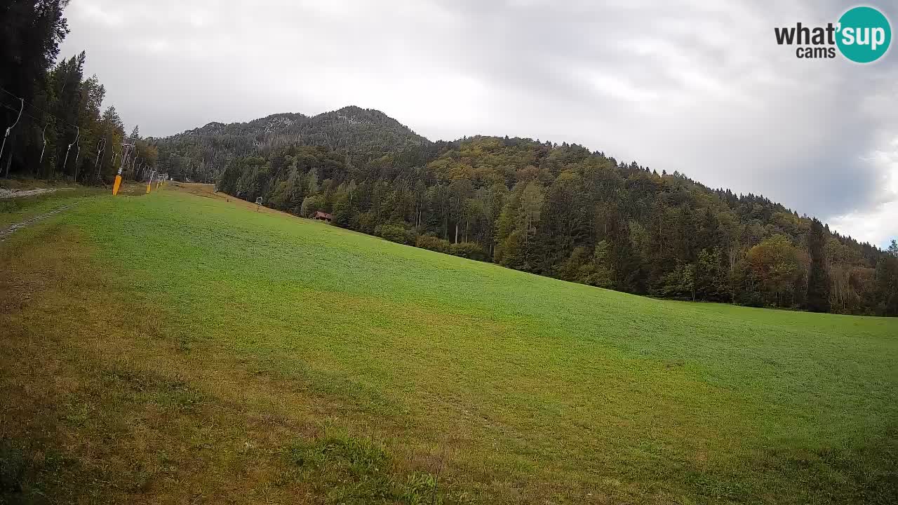 Comprensorio sciistico Kranjska Gora | Brsnina