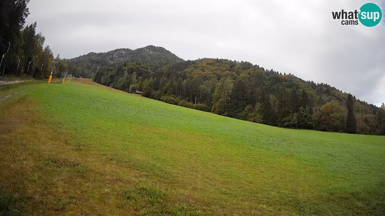 Comprensorio sciistico Kranjska Gora | Brsnina