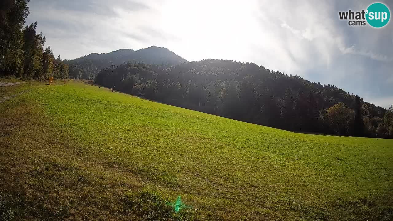 Comprensorio sciistico Kranjska Gora | Brsnina