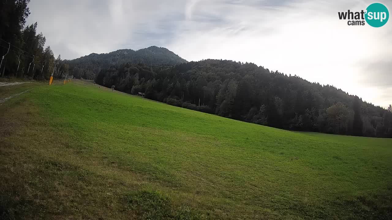 Ski Kranjska Gora | Brsnina