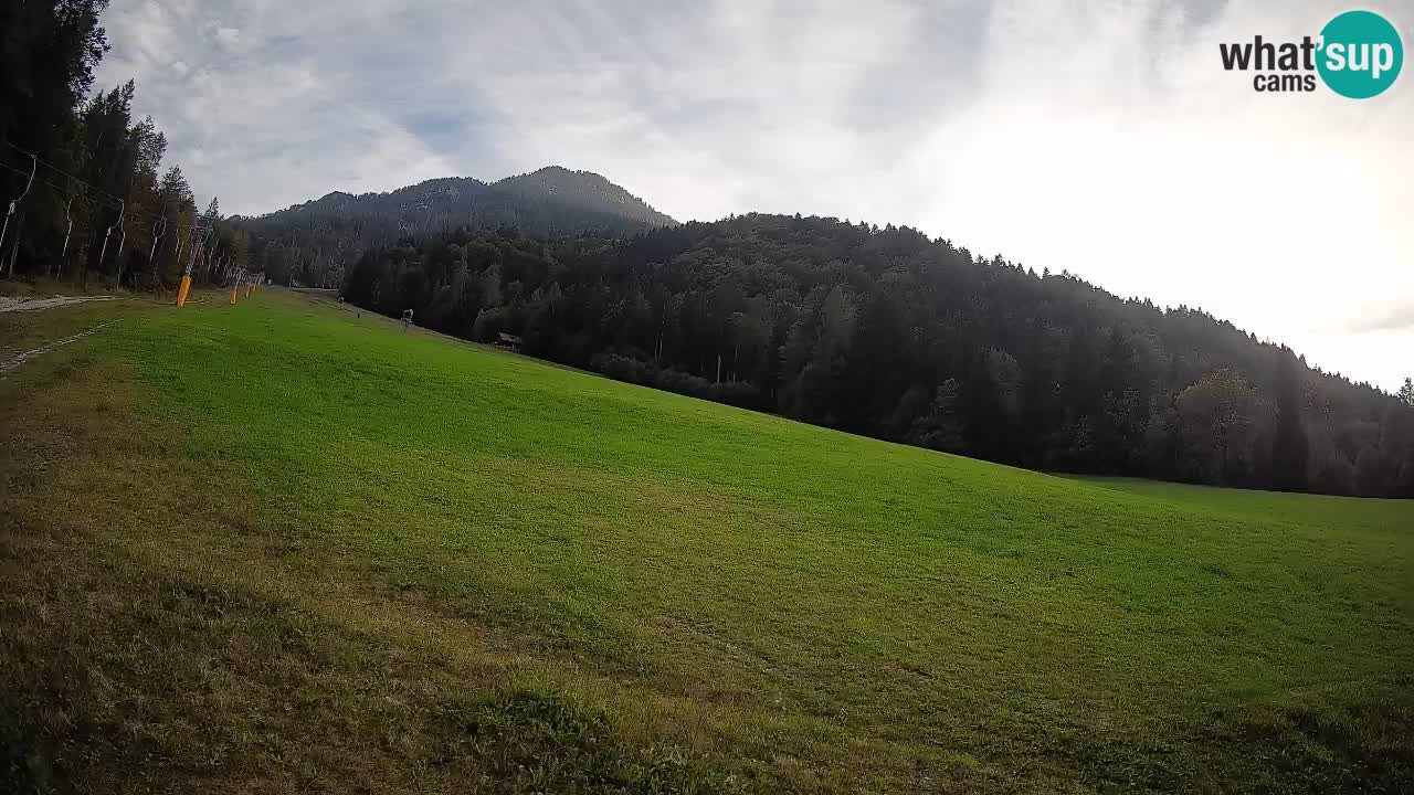Kranjska Gora Station de ski | Brsnina