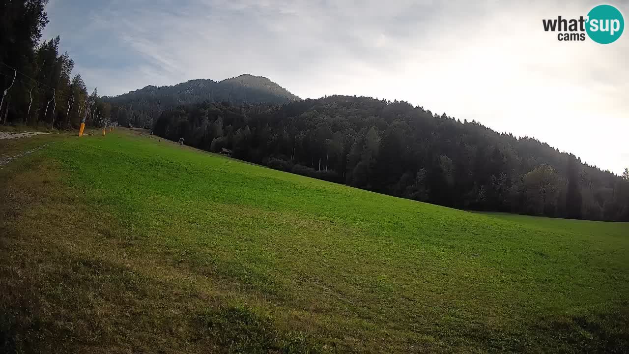 Ski Kranjska Gora | Brsnina