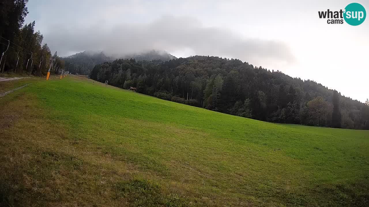 Ski Kranjska Gora | Brsnina