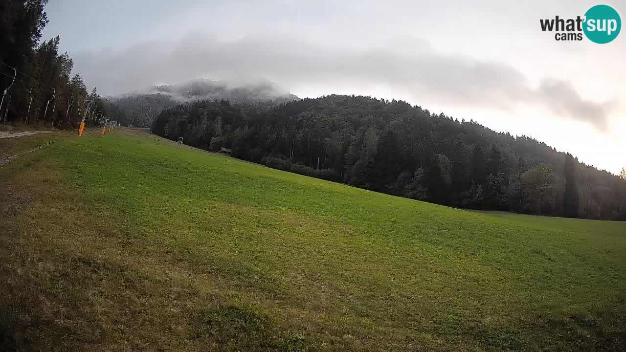 Ski Kranjska Gora | Brsnina