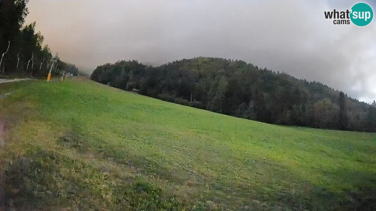 Ski Kranjska Gora | Brsnina