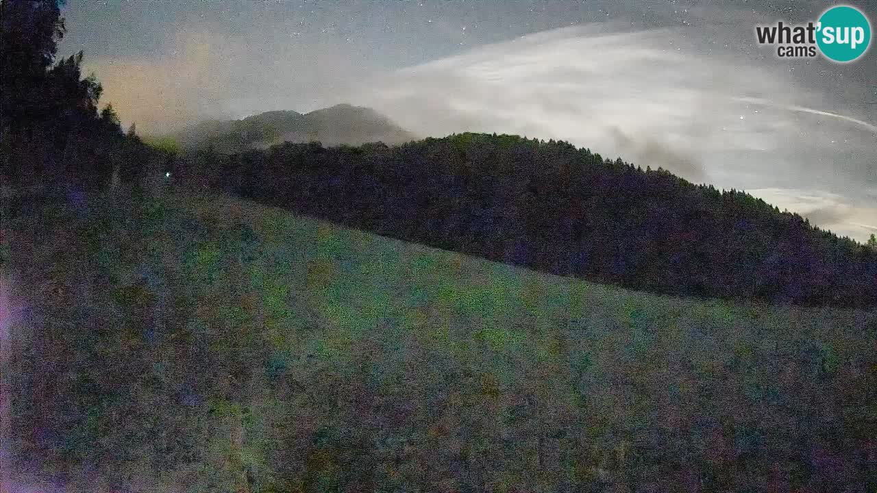 Ski Kranjska Gora | Brsnina