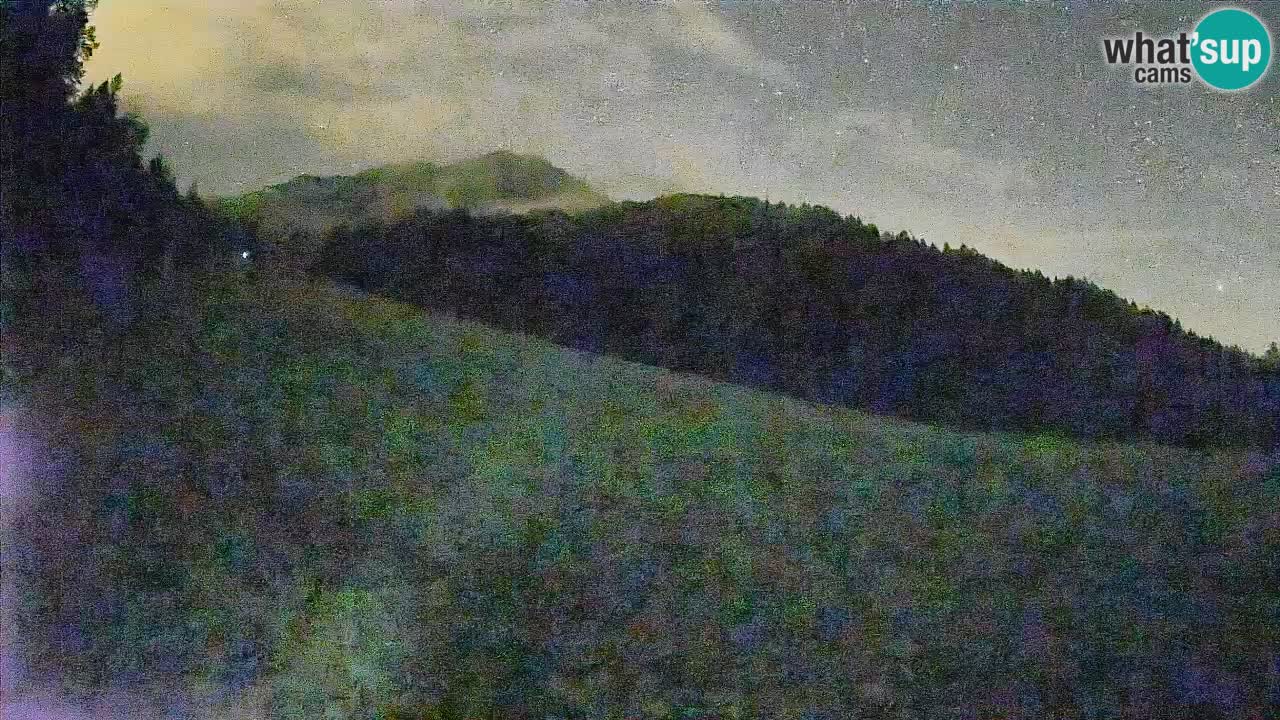 Ski Kranjska Gora | Brsnina